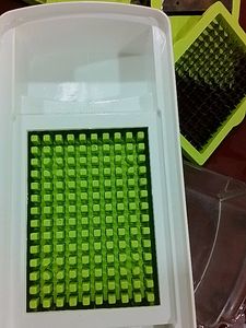 Multipurpose Vegetable and fruit Cutter