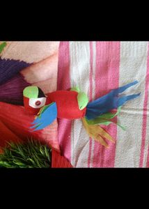 Parrot 🦜toy