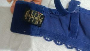 Navy Blue Padded Net Bra