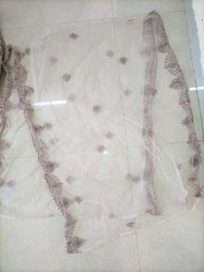 Peach Colour Lehenga ✨