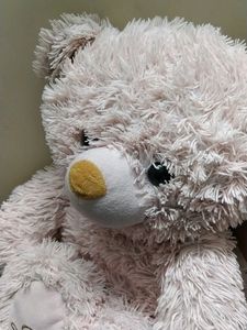 Cute Baby Pink Soft Teddy Bear