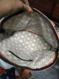 real Silver free handbag