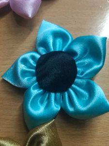 Stylish 6 Hair Clips 99 Rupees