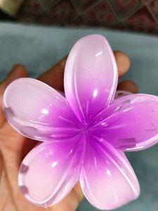 Beautiful Floral Cluture with Vibrant color