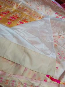 Elegant Multi colour Saree