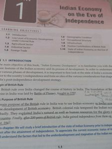Indian Economic Development