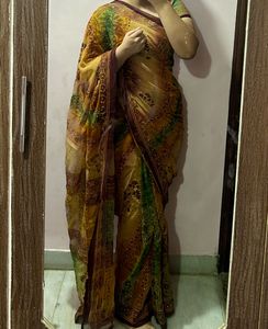 Elegant Sari