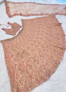Coral Net Beautiful Lehenga
