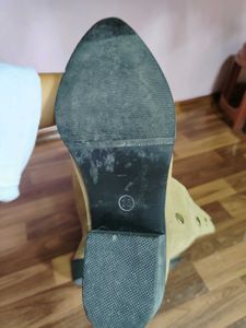 can wear in skirt pants and dress