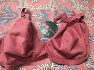 Cotton Daily Wear Bra Clovia