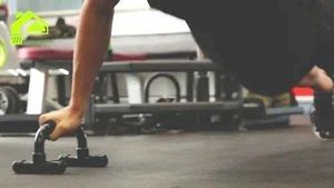 Push Up Bars