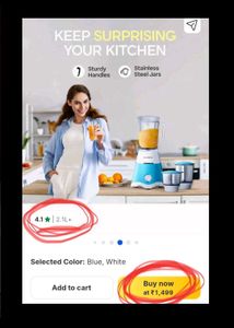 Longway Mixer Grinder