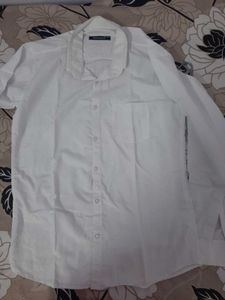 Basic White Shirt