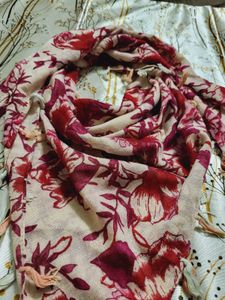 Beautiful Stole For Women 🎨