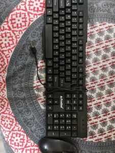 ProDot Keyboard &amp; Hp Mouse
