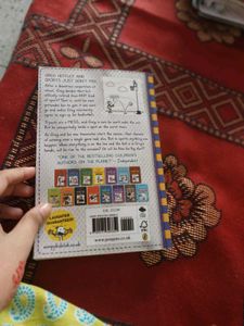 Diary of a wimpy kid dupe