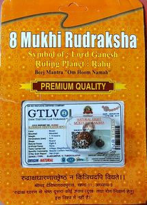 8 Mukhi Rudraksha Locket