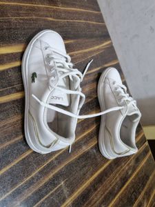 locoste shoesImported n original pairs