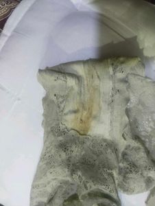 Women 👙 Panty Brief