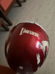 Vintage Golden Bird Helmet