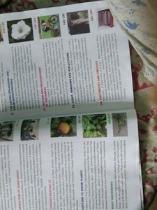 Class 6th Science 📚 Book...In Good Condition