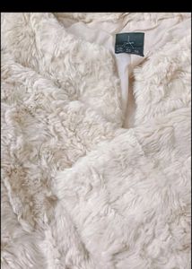 elegant fur coat