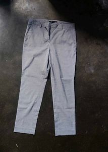 Formal Pant