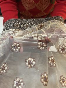 Embroidered Net saree with blouse