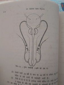 Vintage Book Issued By Goverment