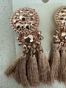 H&amp;M Rose Gold Tassel Earrings