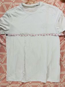 White T-Shirt