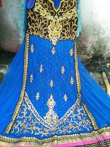 This Beautiful Net Gown