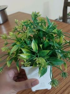 Fake decorative  plant For decoration