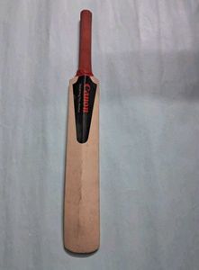 Canon Mini Cricket Bat