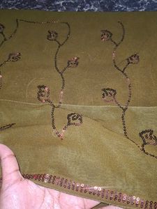 Olive Chumkis Worked Saree