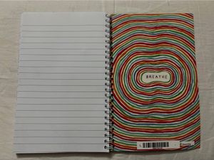 The Leo Ruled Notebook