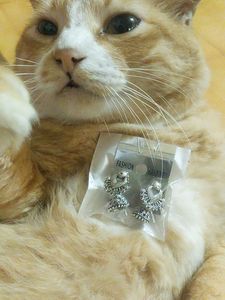 Vintage Silver Tone Earrings