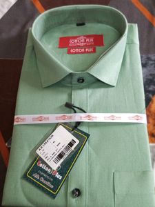 Pista Green Colour Shirt