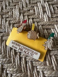 Cute Wooden paper Clips