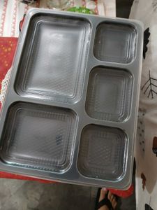 6 Disposable Packing Plates W spoons