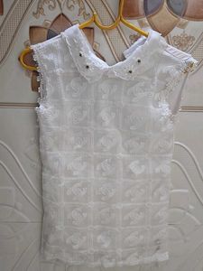 Elegant White Sheer Lace Collar Sleeveless Top