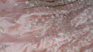 Peach Lehenga with Intricate Embroidery