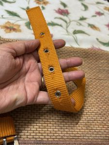 Dog Collar