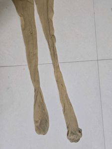 skin color stocking