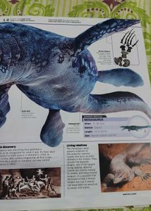Dinasaur Encyclopaedia
