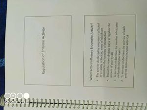 Medical Transcription, Enzymatics,Biotechnology