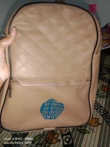 Stylish Backpack