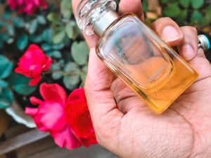 Hermes Le Jardin de Monsieur Li