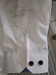 Regular Fit Solid Double Collar Casual Shirt