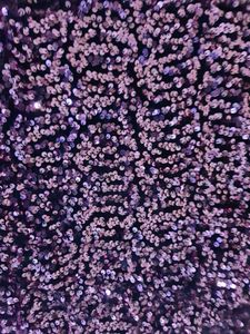 Women Sequin Dress